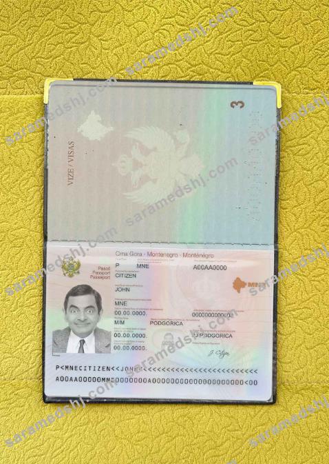 Montenegro passport photo look